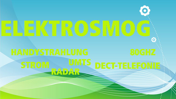 Elektrosmog Handystrahlung Dect Radar UMTS Strom 80GHz